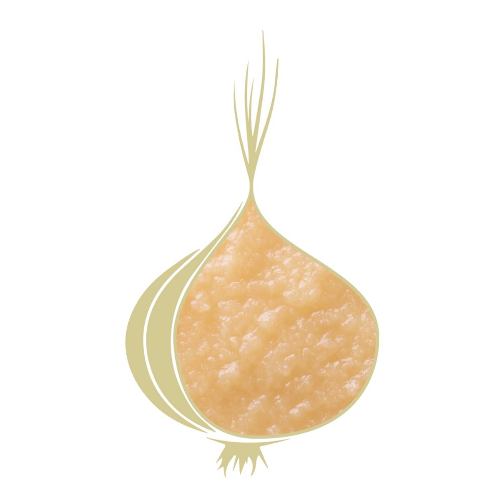 PURÉ DE CEBOLLA COCINADA 5KG