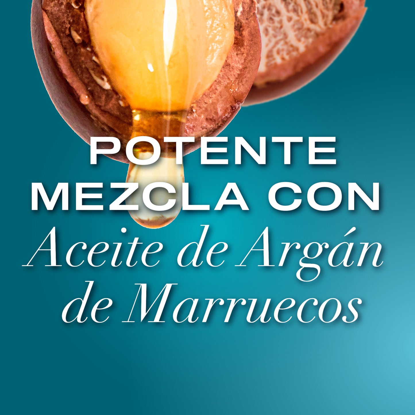 OGX ARGAN MOROCCO SHAMPOO 385ML