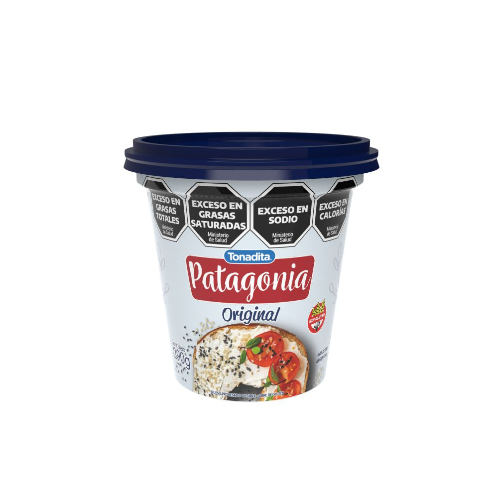 PATAGONIA CLÁSICO 290 GR