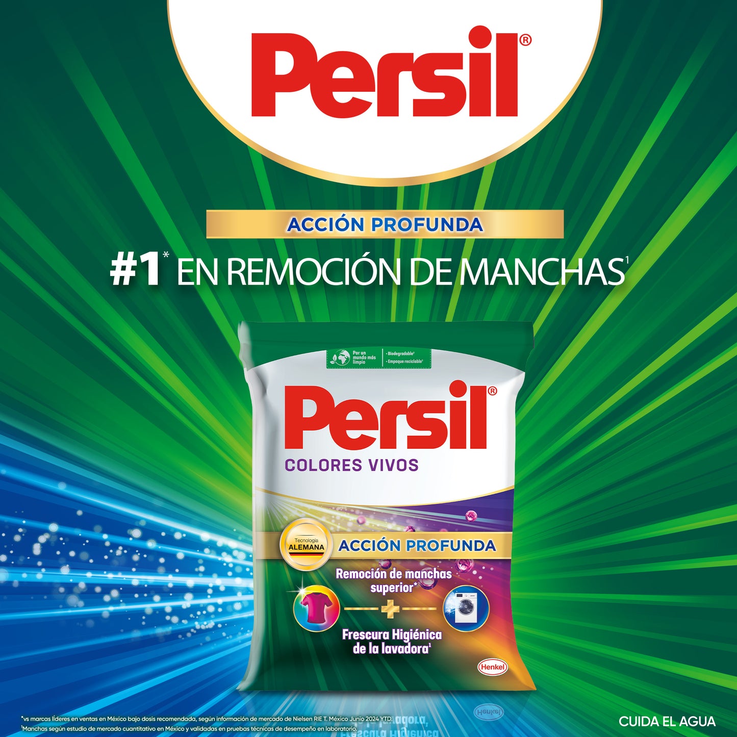 JABÓN P/ ROPAS COLOR 4,5KG