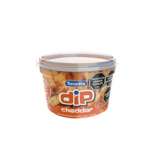 QUESO CHEDDAR DIP 180GR